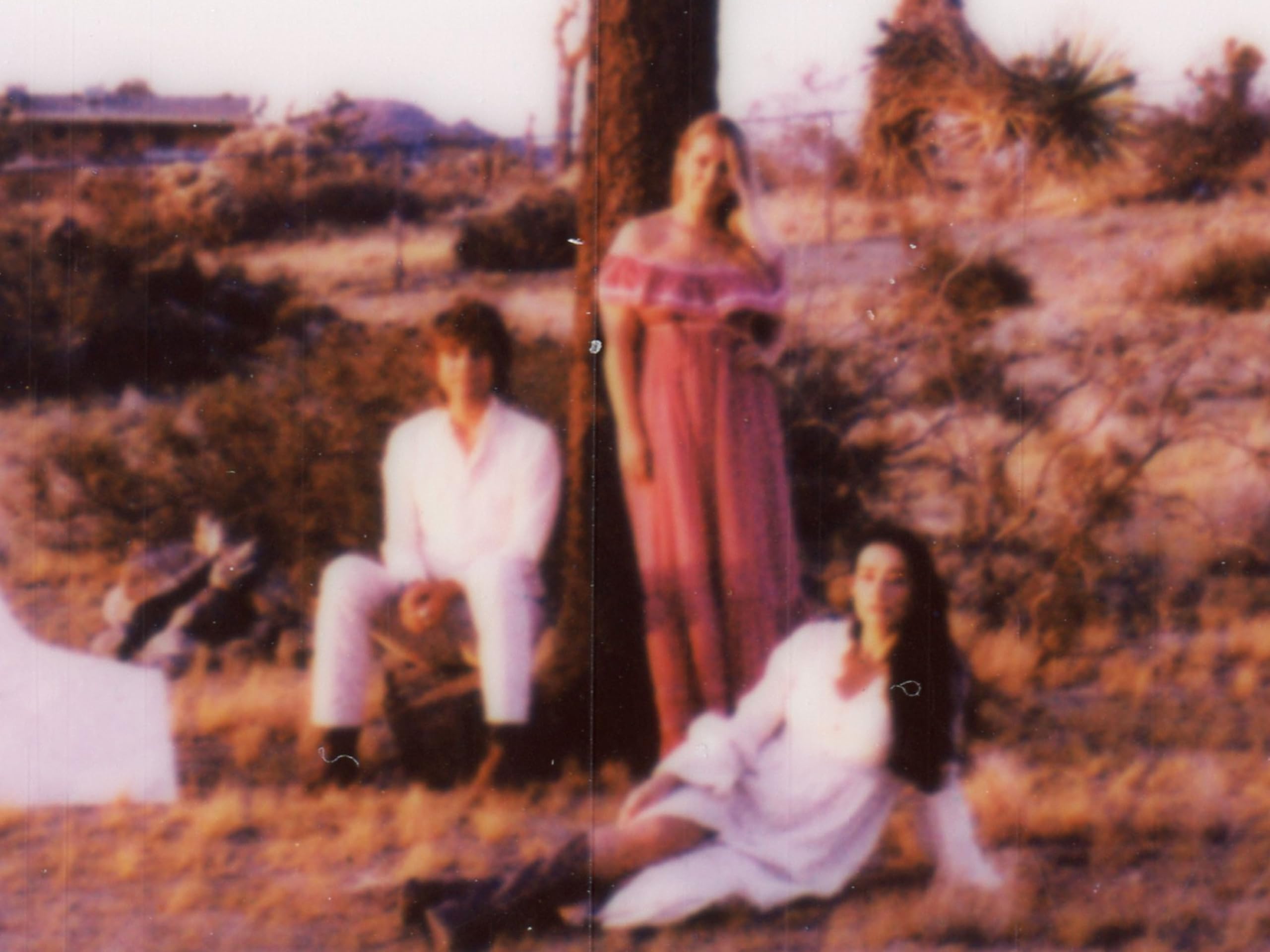 The Wandering Hearts