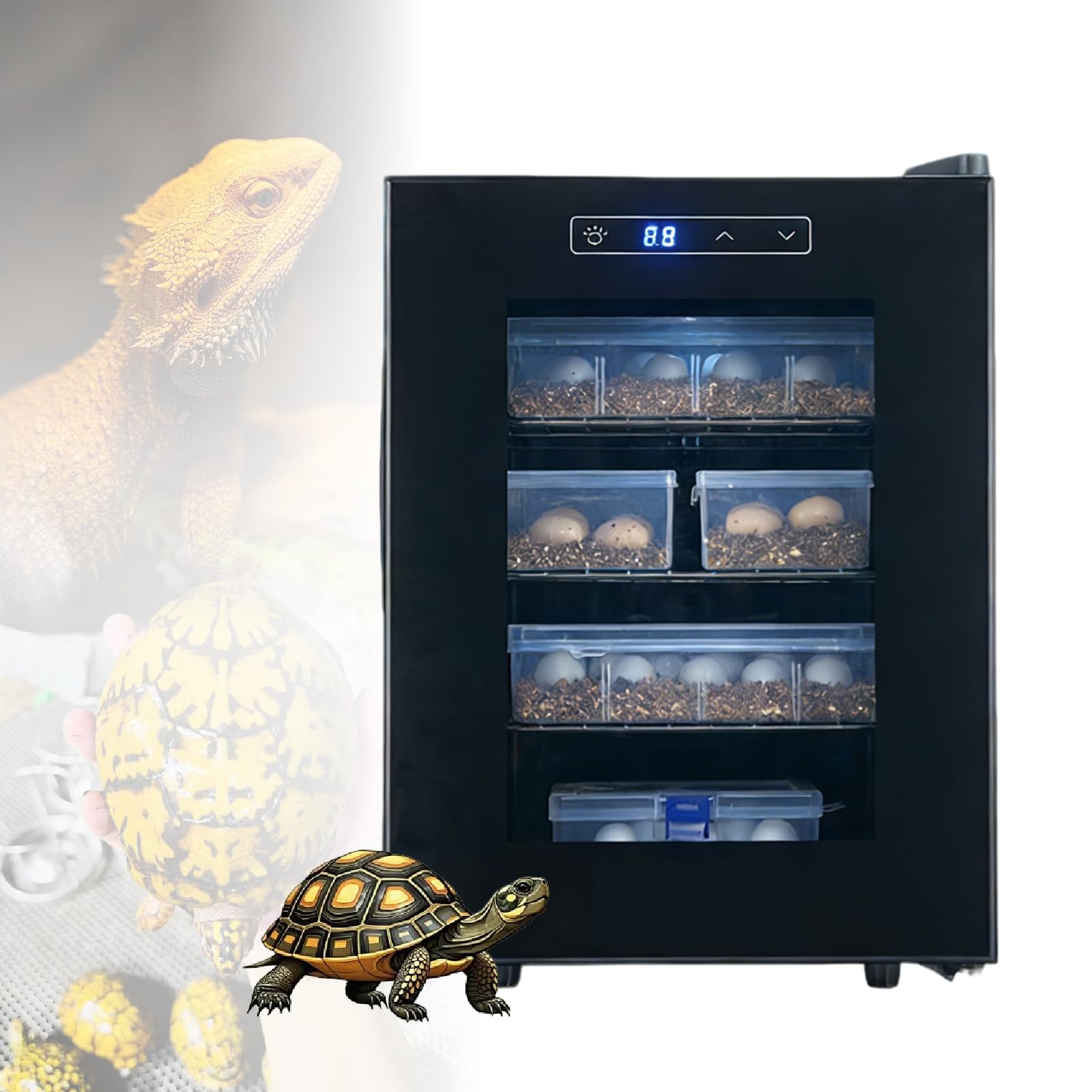Incubadora de huevos de reptiles con control digital de temperatura, pantalla LED y sistema de ventilación dual para la cría de serpientes, tortugas y lagartos