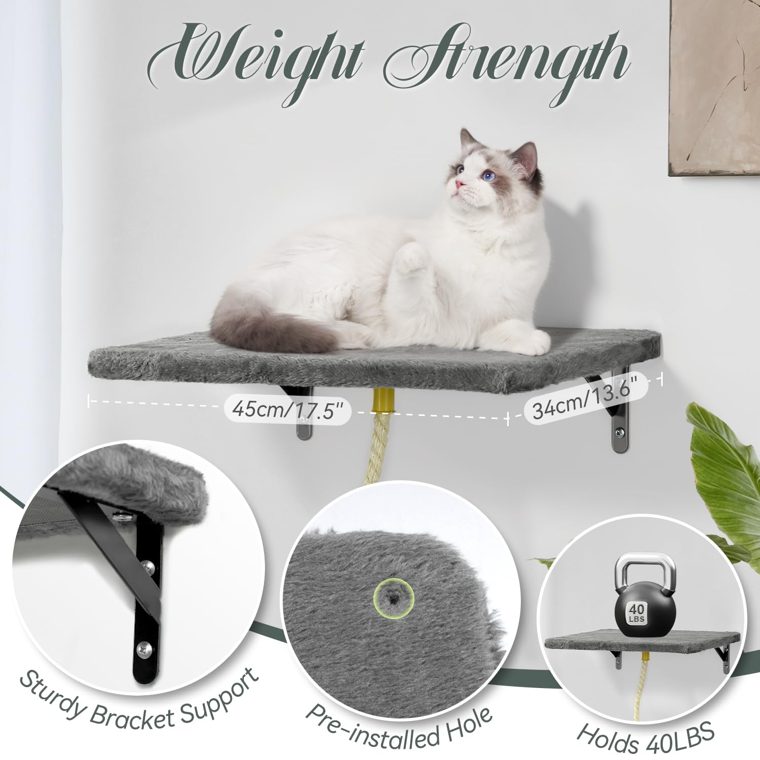 KAMABOKO Cat Wall Furniture, Wall Mounted Cat Climber, 5pcs Cats Wall Shelves, Cats House, Hammock, Steps, Perches, and Scratcher, Pet Furniture for Indoor - Dark Grey