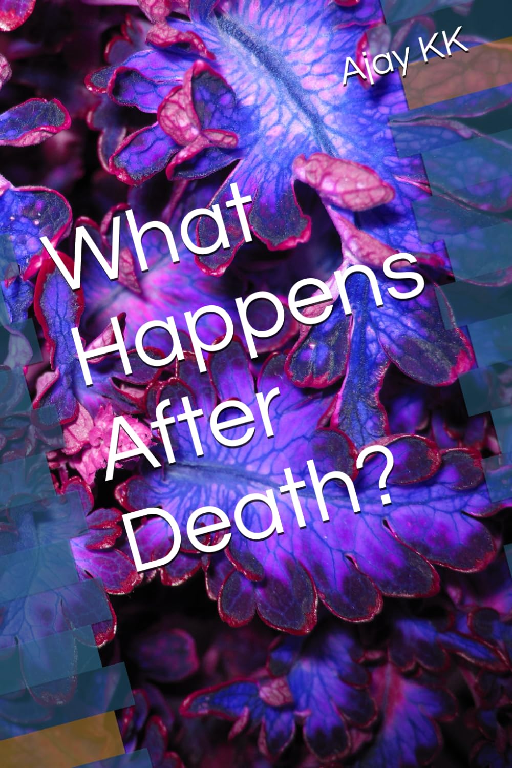 What Happens After Death?