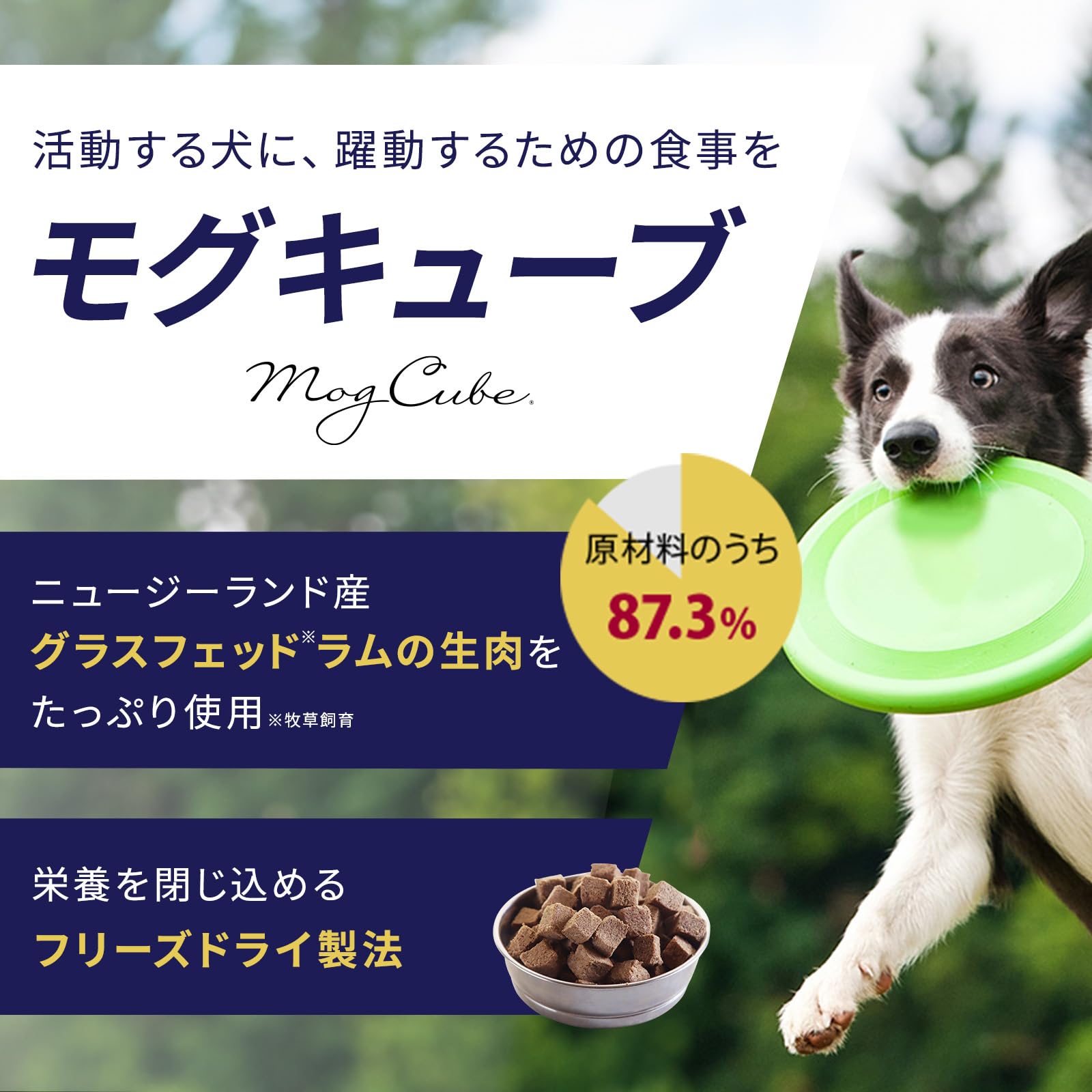 MogWan ドライドッグフード Amazon.co.jp: モグキューブ ドッグフード（425g）全犬種 全