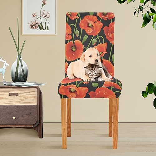 Miniatura 5 de Poppy - Juego de 4 fundas elásticas para sillas de comedor de elastano para ceremonia de banquetes en casa
