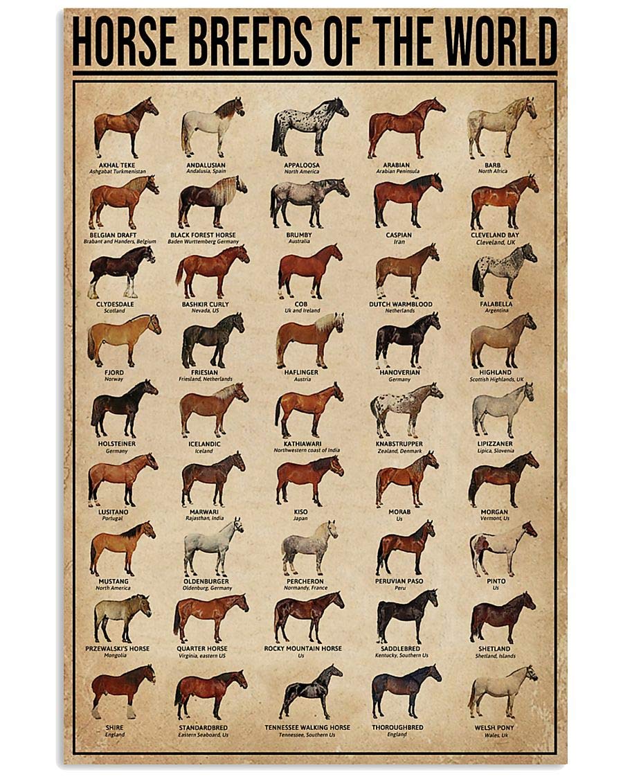 Tnnd Red With Earthy Undertones Horse Breeds Of The World Poster Vintage Wall Decor Home Decor Father's Day Birthday Gift Metal Signs 12X16 Inch