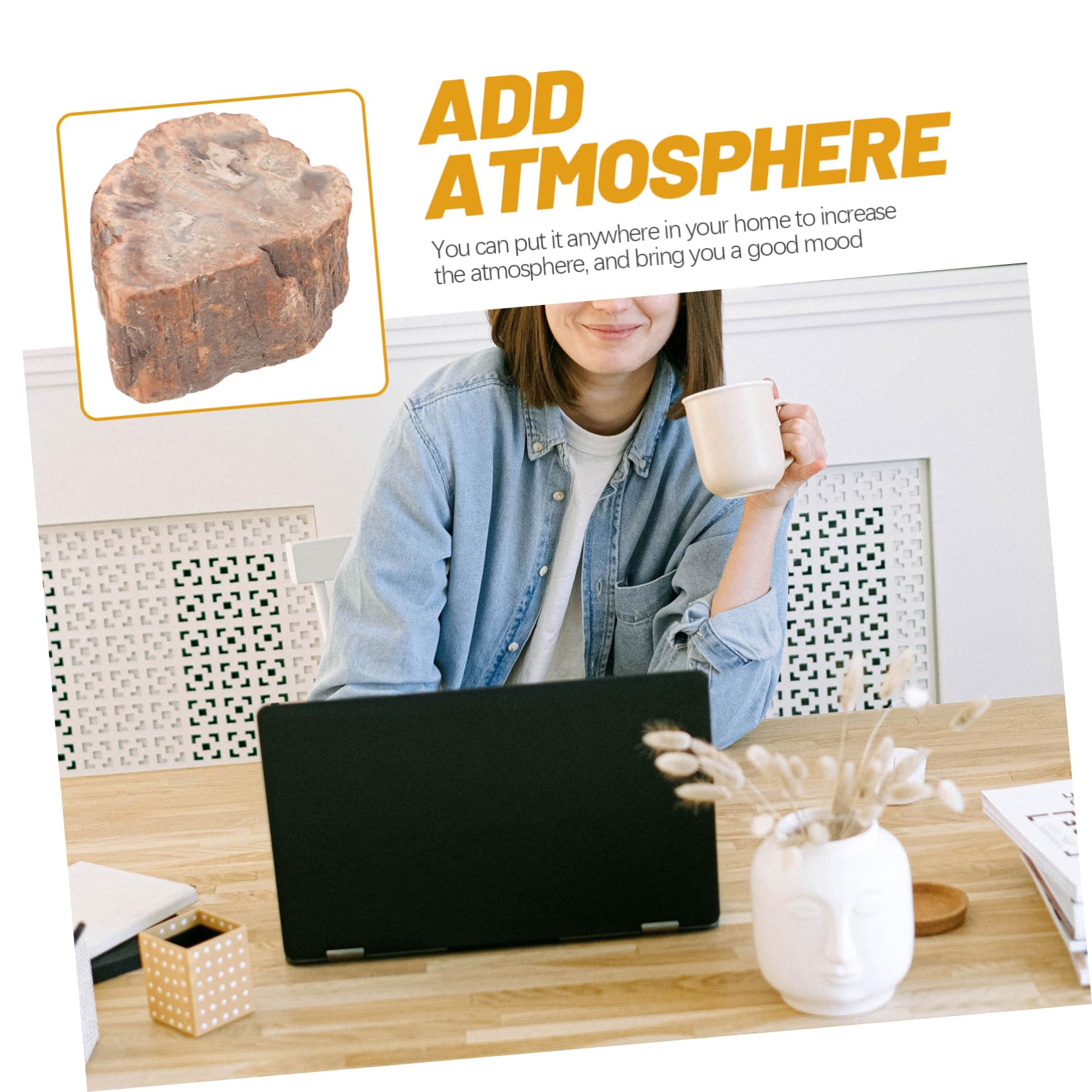 Amazon.co.jp: 石化した木の部分 石の木のテーブルの表示 天然木は自然