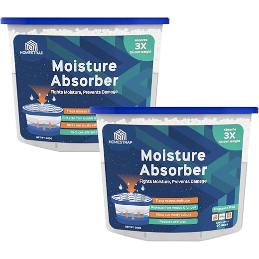 Homestrap Moisture Absorber Box 600ml
