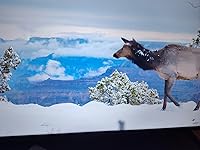 Review Image by ThatChick