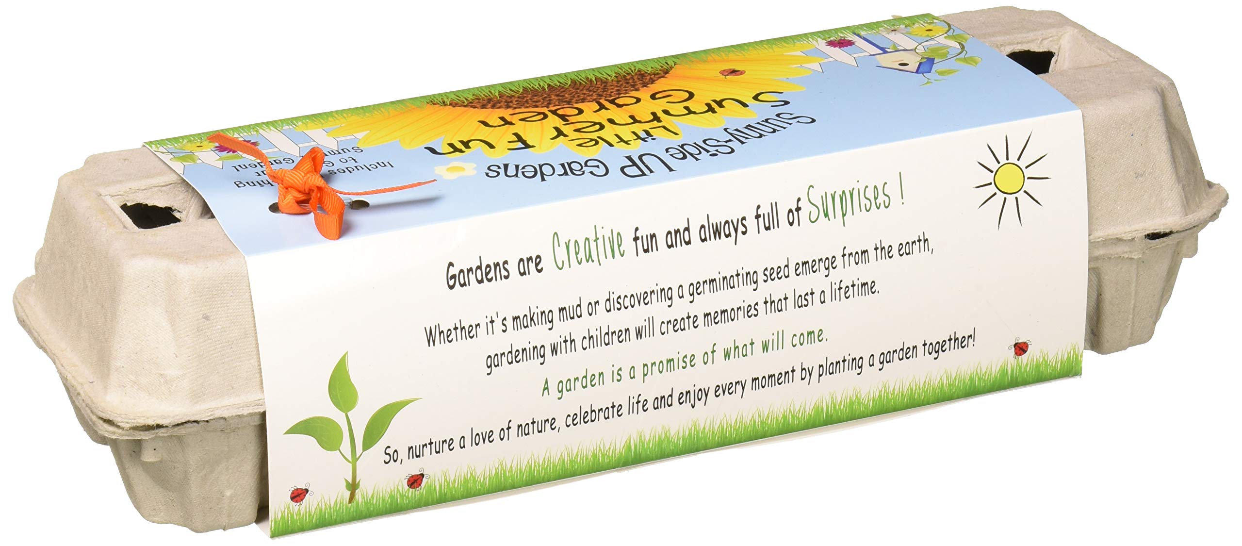 Amazon.com: Backyard Safari Company Sunny-Side Up Gardens, Little
