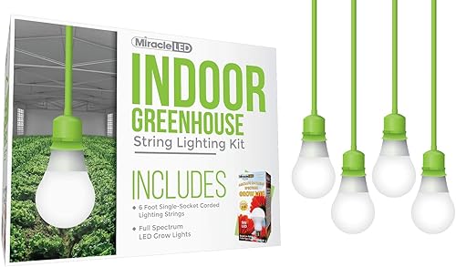 Miracle LED Kit de invernadero interior con cable de 6 pies con cable de un solo zócalo con luz de crecimiento de espectro completo que reemplaza