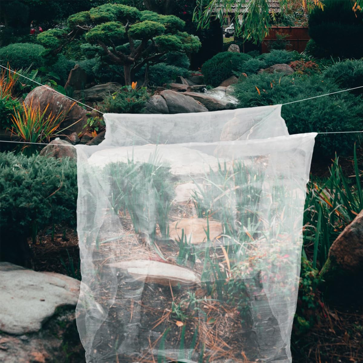 Malla Antipájaros Transparente Mx2m de Polietileno para Jardín