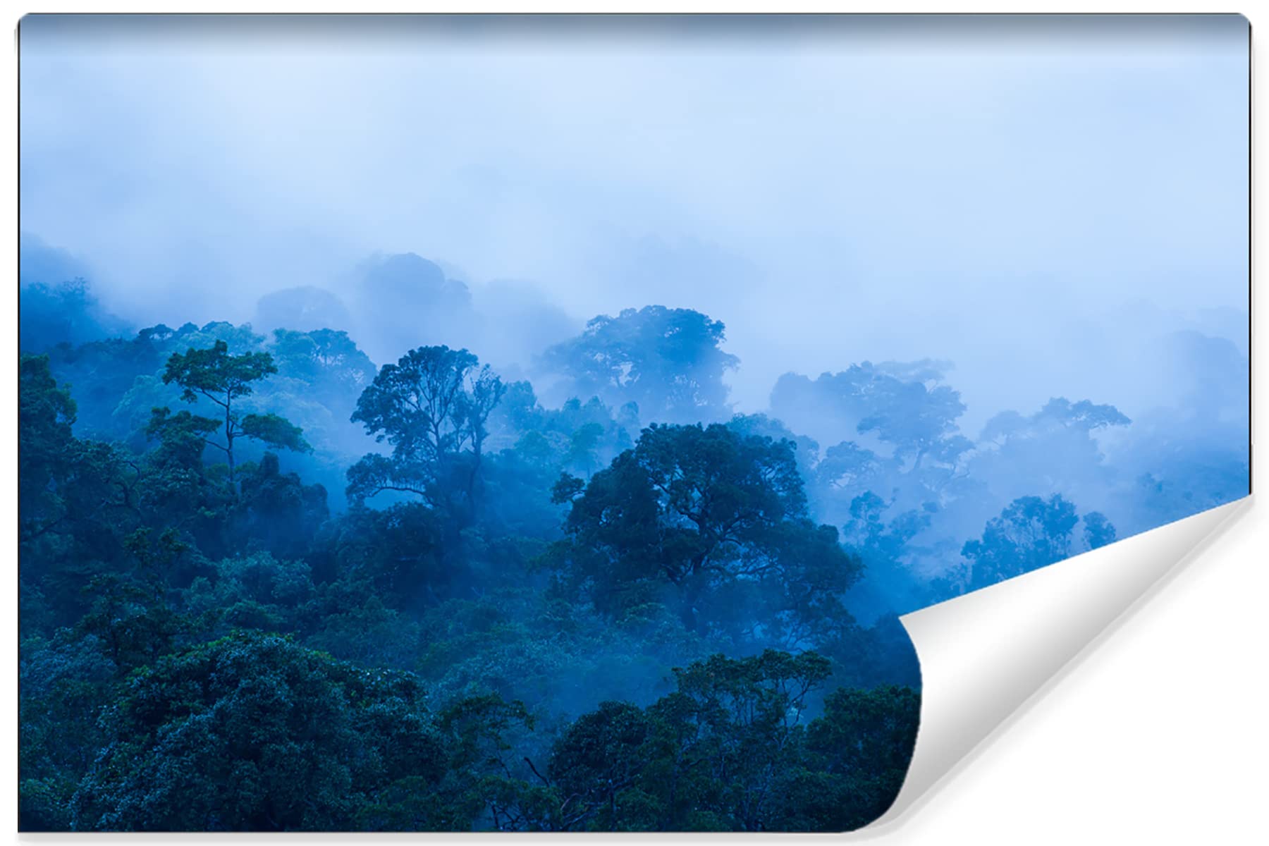 Muralo Papel Pintado Fotográfico De Vinilo Liso Con Diseño De Bosque En Niebla 520 X 318