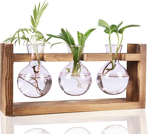 Miniatura 10 de Kingbuy - Florero de vidrio en forma de bulbo con soporte de madera maciza estilo retro, para plantas hidropónicas, decoración de jardín o boda