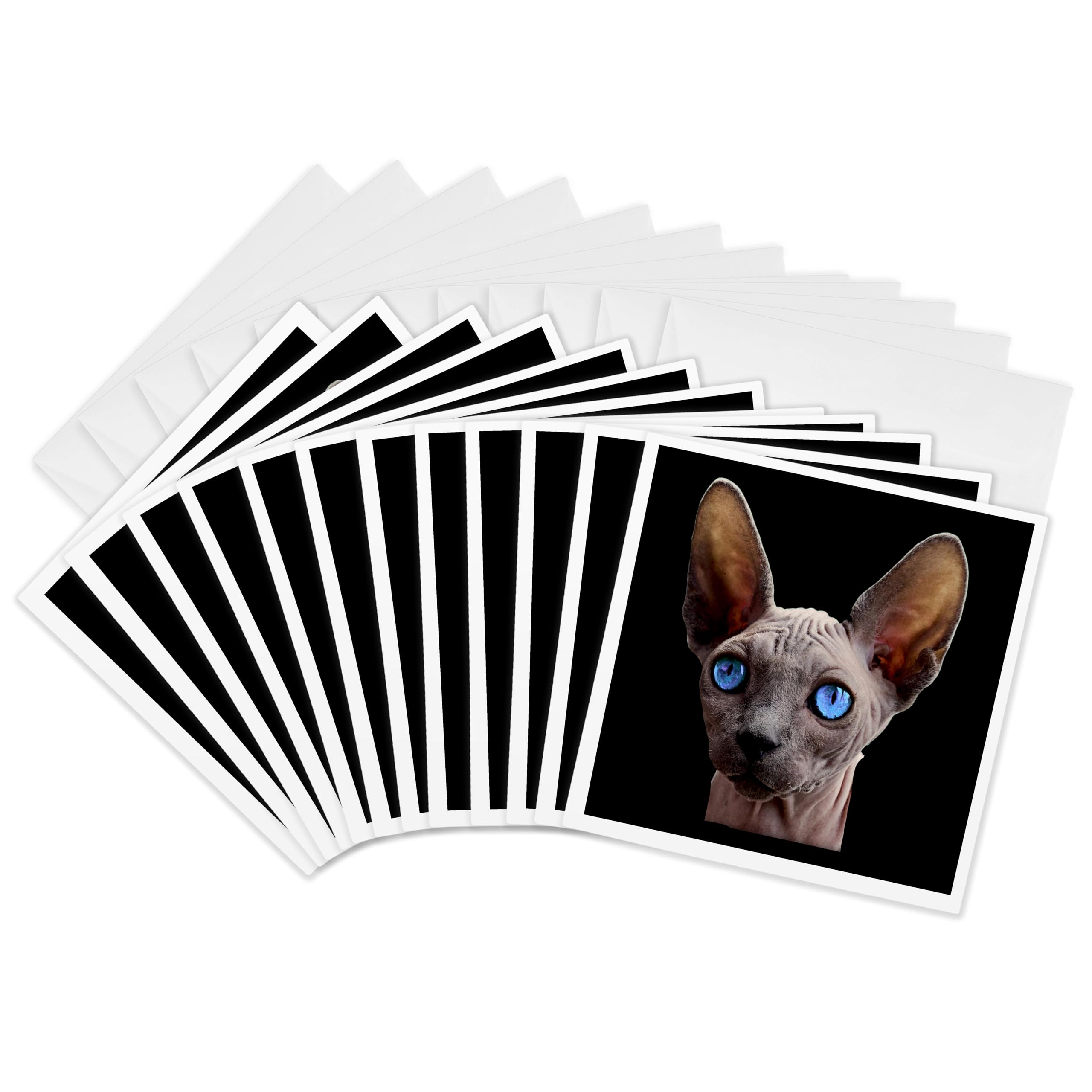 Cartes de vœux chat Sphynx 3dRose lot de 12 format carré - 8