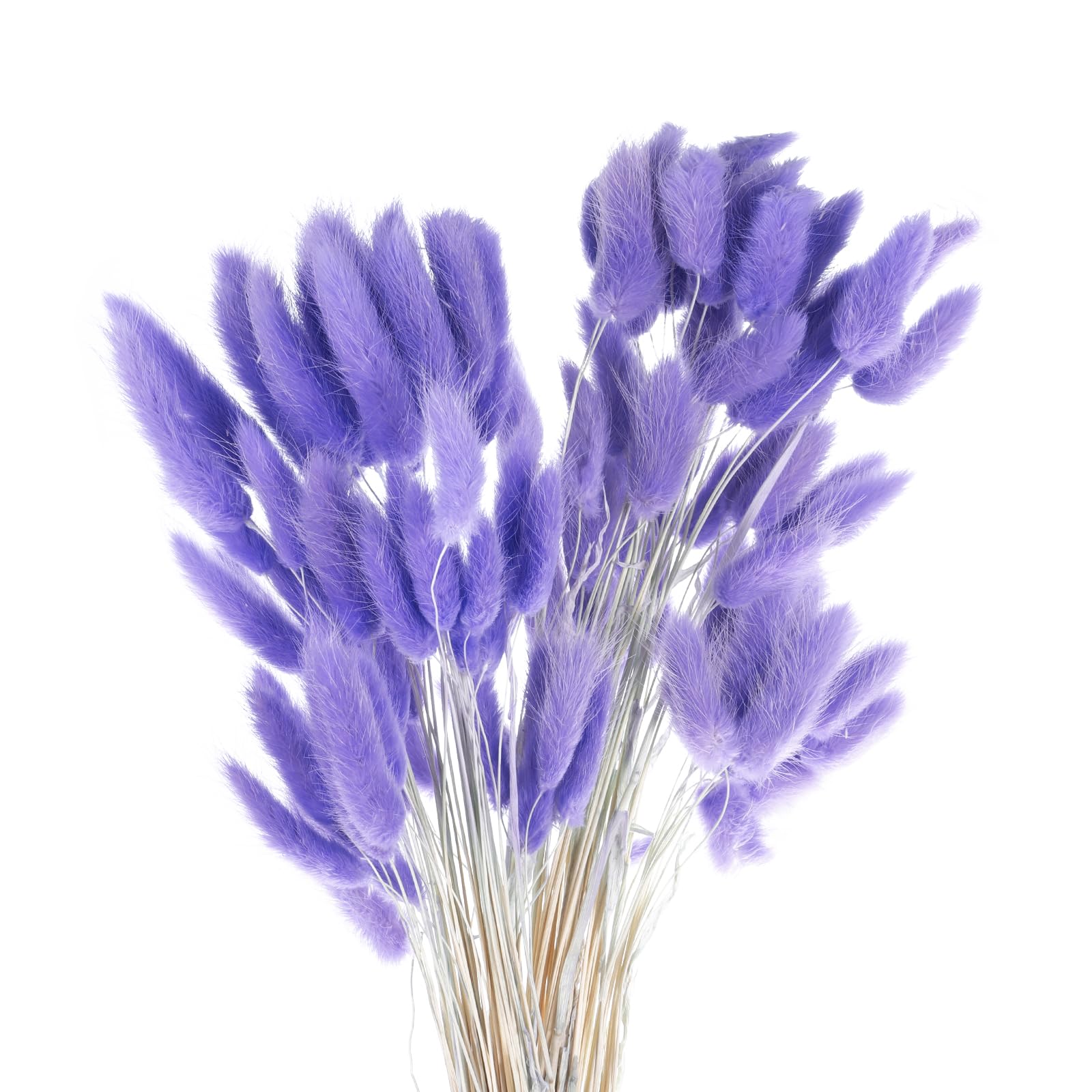 QUARKZMAN 60Pcs Queue de Lapin Naturelle Fleurs Séchées 60cm Violet Lavande | Mini Herbe de Pampa Lagurus Ovatus, Bouquet pour Décoration Florale Mariage Noël