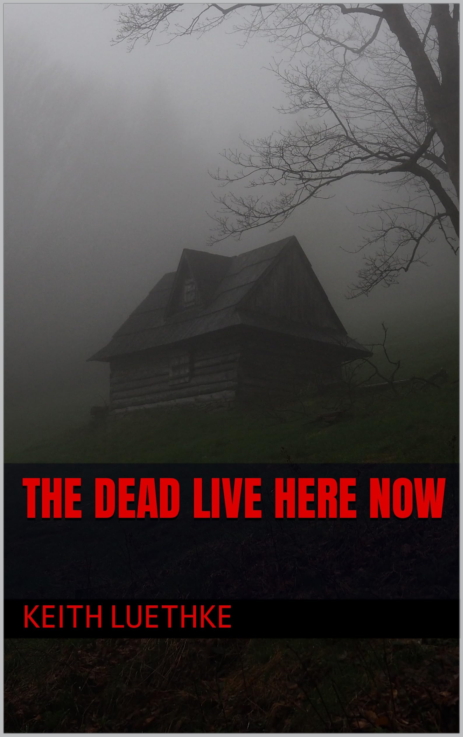 Cover of The Dead Live Here Now