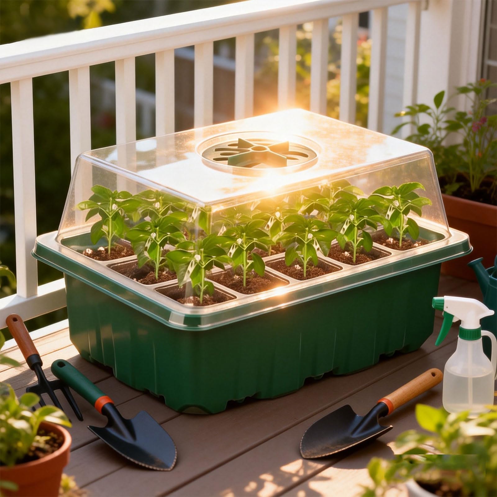 Seed Trays - 10 Pack 120 Cells Propagator Growing Thicken Seedling Starter Growing Trays with Clear Lids, Tools & Labels for Greenhouse & Gardens(10 Set) - 4