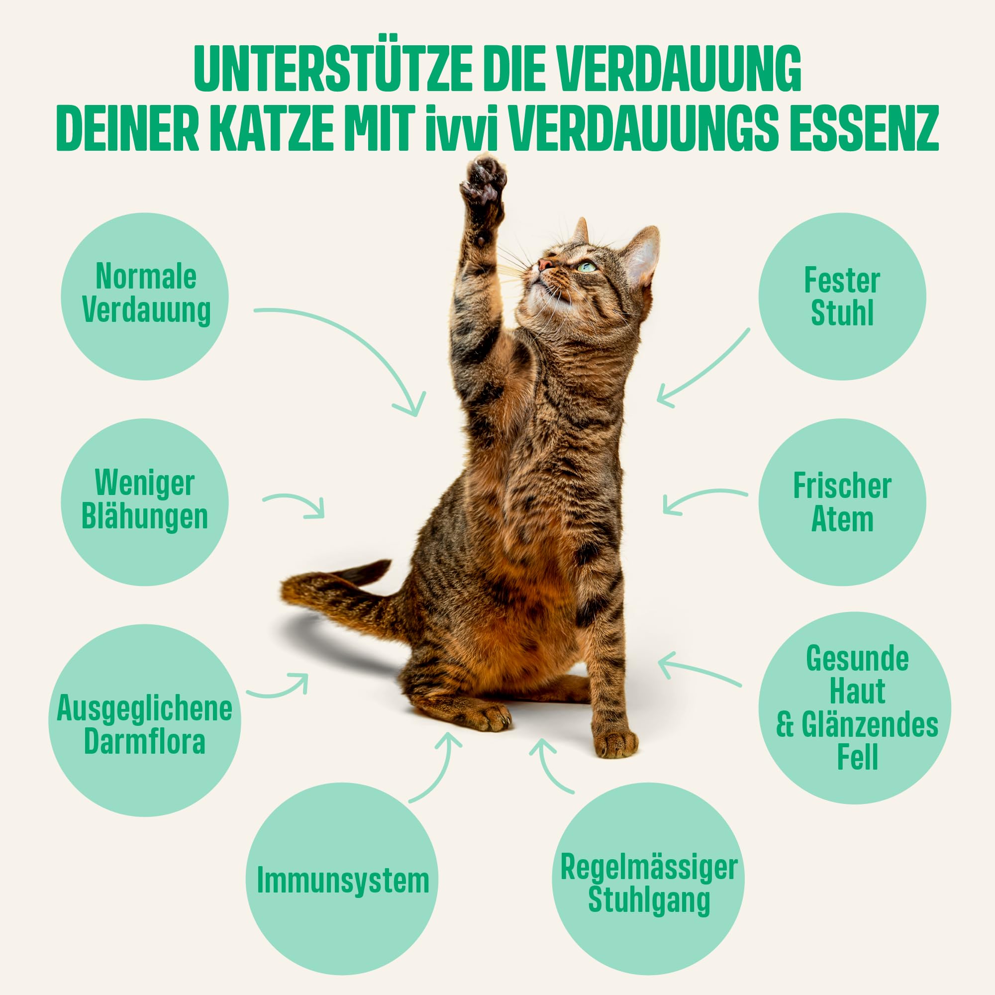 ivvi Verdauungs Essenz für Katzen – 30 cremige Schleck-Snacks mit Thunfisch, Kürbis, Leinsamen & Postbiotikum (aus Probiotika) – Verdauung, Darmflora & Wohlbefinden – ohne künstliche Zusätze – 450 g