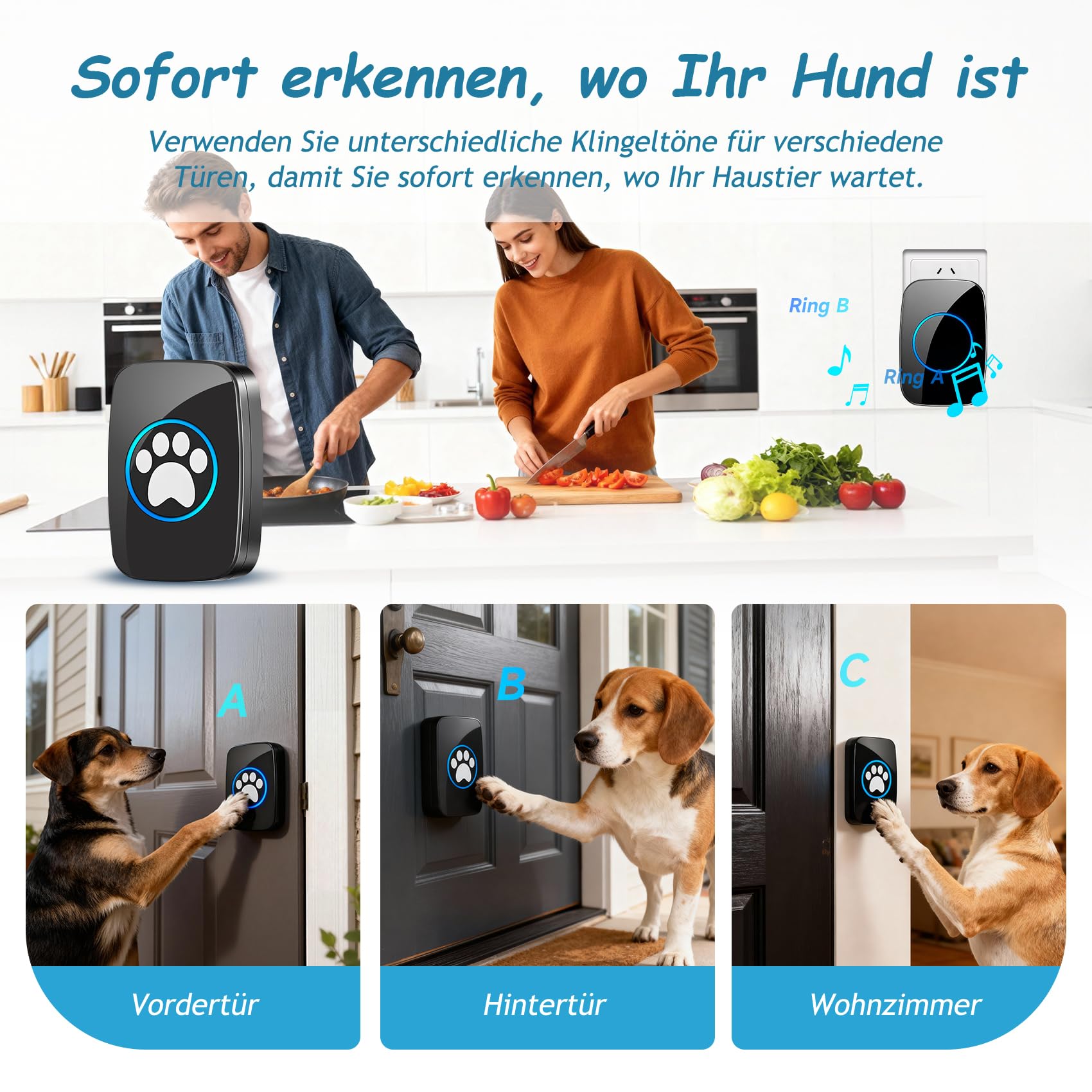 A10 Katzenklingel & Hundeklingel – Kabellose Türklingel, 300 m, LED, 60 Melodien, Wasserdicht, Buzzer Hund, Katzenglocke, Katzen Klingel Tür Außenbereich (1 Klingeltaster + 1 Empfänger)