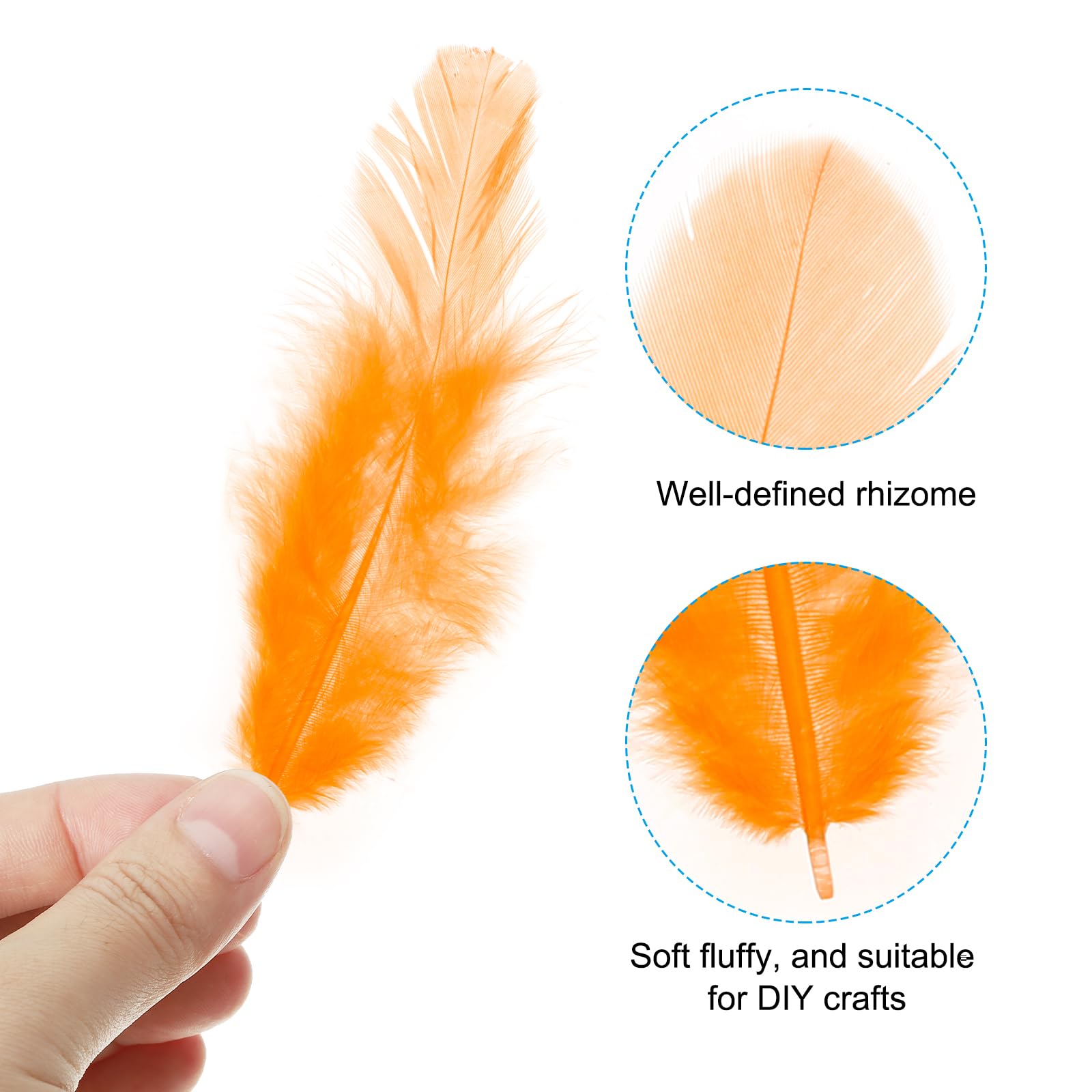 PATIKIL 1.5-3 Inch Saddle Hackle Rooster Feather - Image 3
