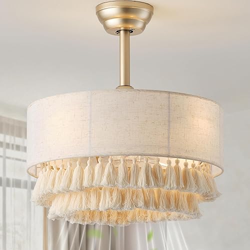 Miniatura 11 de Ventilador de techo con lámpara de cristal de 20 pulgadas con luz, ventiladores de techo boho con control remoto de luces, enjaulado de 6