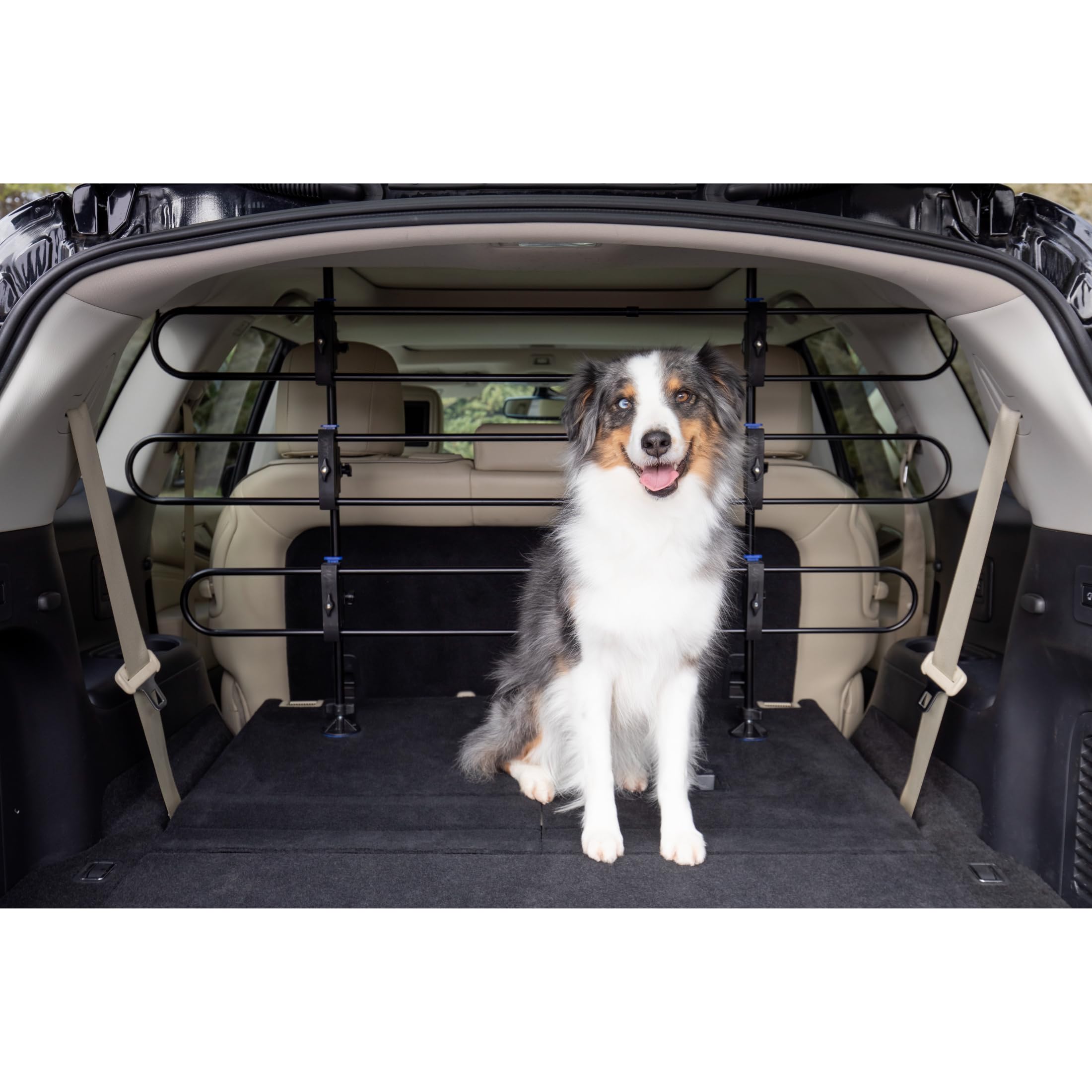PetSafe Divisore Auto in Metallo per Cani, Adatto alla Maggior Parte di Auto e Minivan