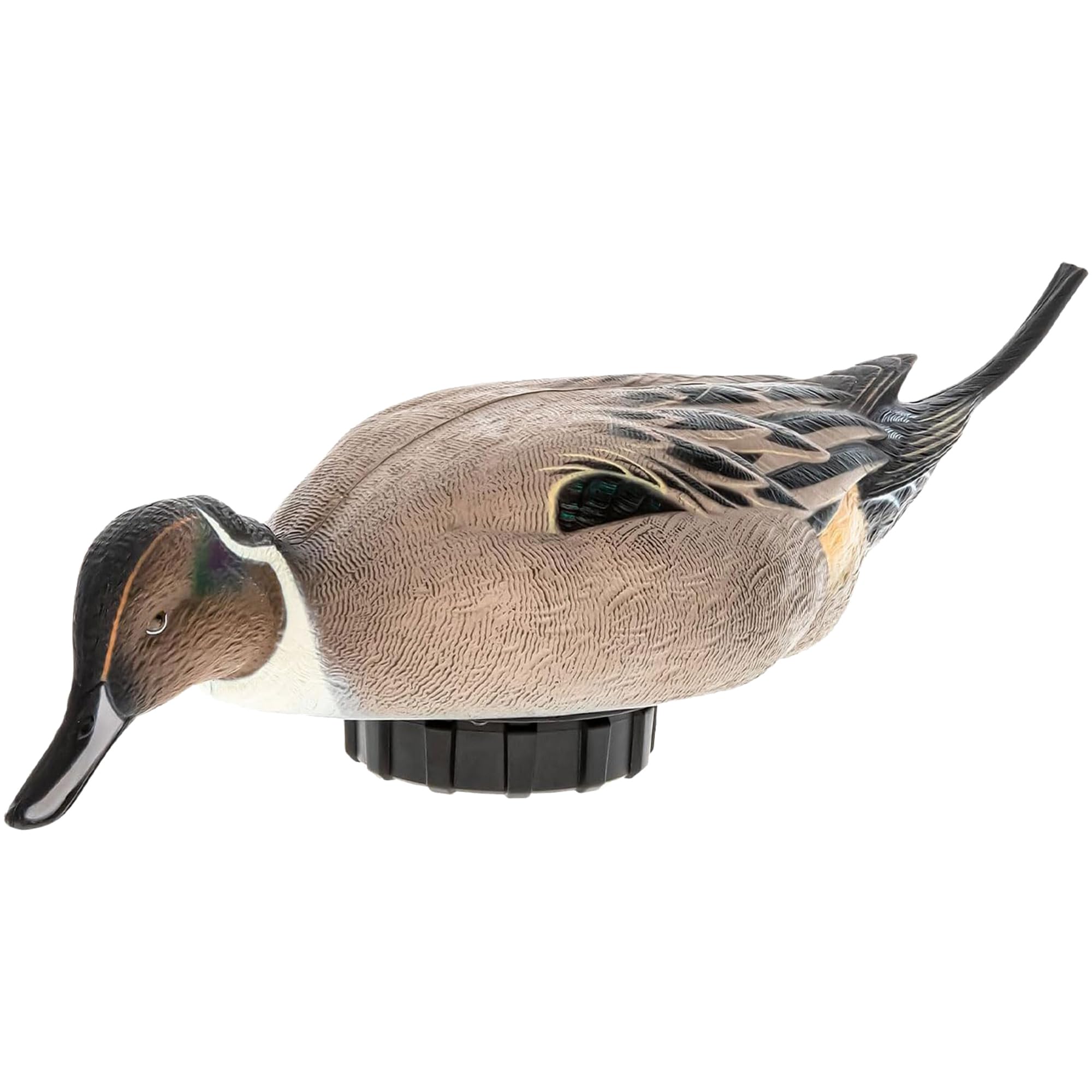 Avian-X Power Shaker Pintail Yüzey Besleyici Yüzer Ördek Tırmığı - Dayanıklı Köpük Dolgulu Gerçekçi Gerçekçi Su Kuşları Avcılık Hareket Tuzağı