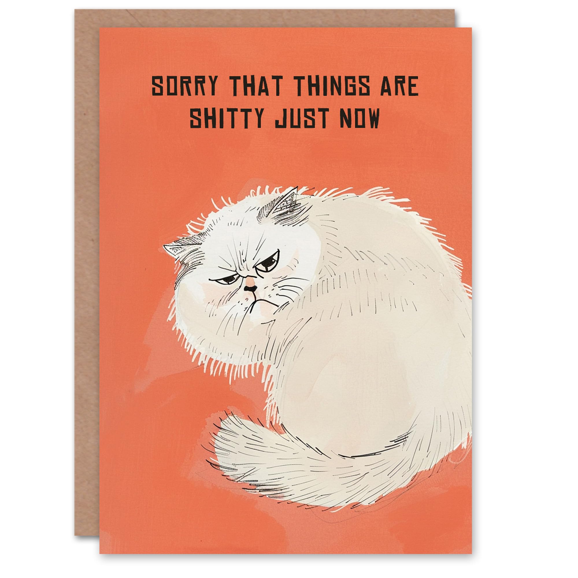 Artery8 Sorry Things Are Sh*tty Grumpy Fluffy Cat Lover Blank For Him Or Her Art Get Well Card