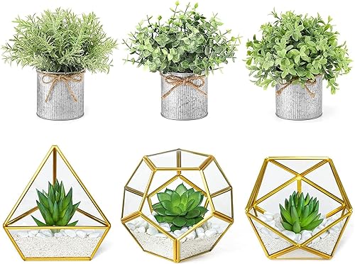 Mkono Suculenta artificial en paquete de 3 mini terrarios geométricos de vidrio y juego de 3 mini plantas artificiales en maceta, vegetación de mesa