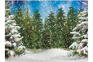 Enthralling North Pole Backdrop: Capture the Magic of Winter