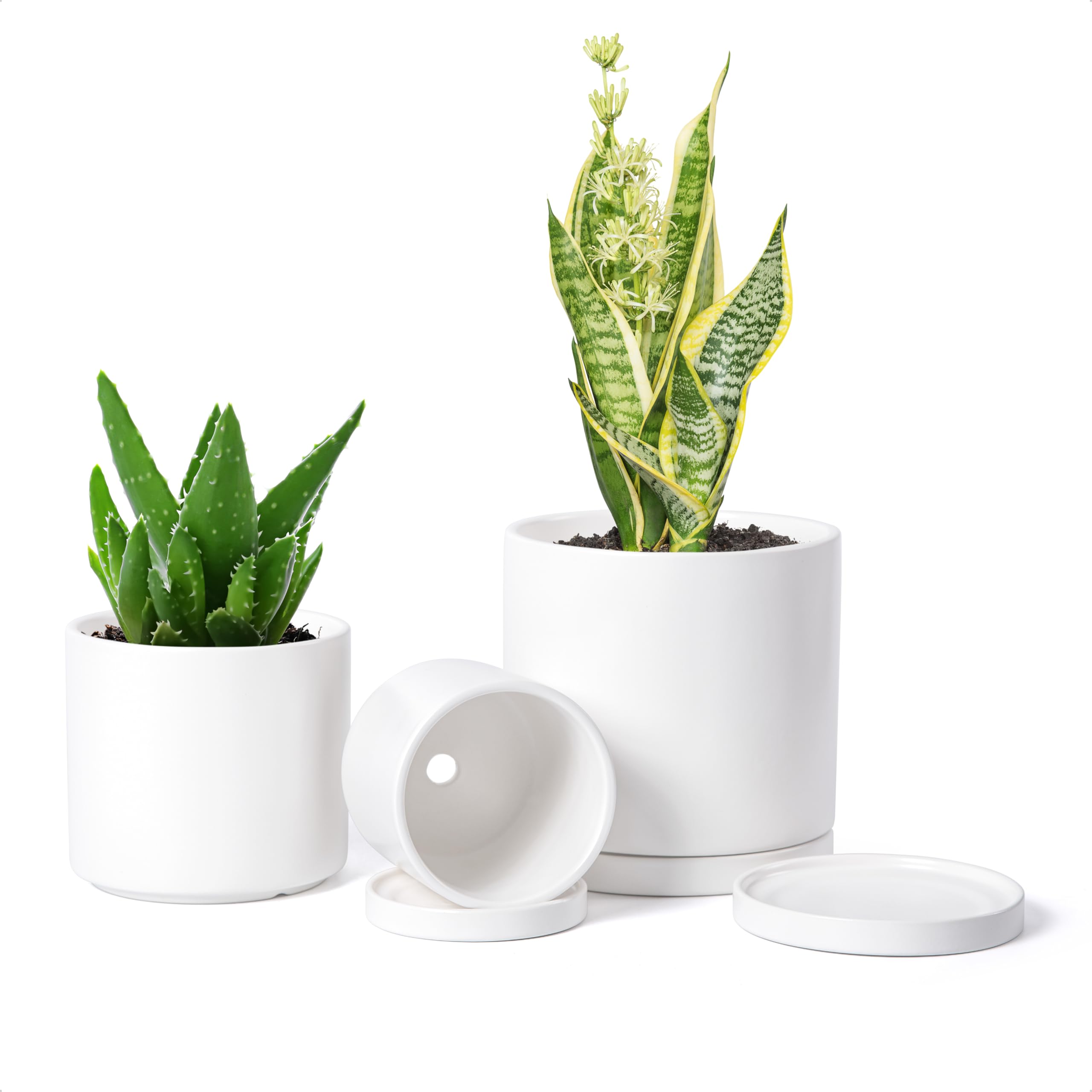 Amazon.com : D'vine Dev White Terracotta Pots for Plants