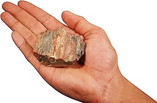 Petrified Wood 3" 4-7 Oz Large Raw Rocks and Minerals Root Chakra Healing Crystals and Stones