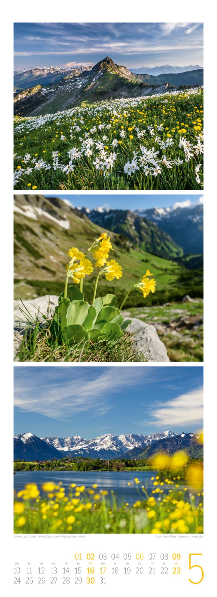 Bergzeit Triplet-Kalender 2027: Stimmungsvoller Bergkalender im schlanken Hochformat (24x66 cm) | Triplet-Fotografie mit Bildern aus den Alpen
