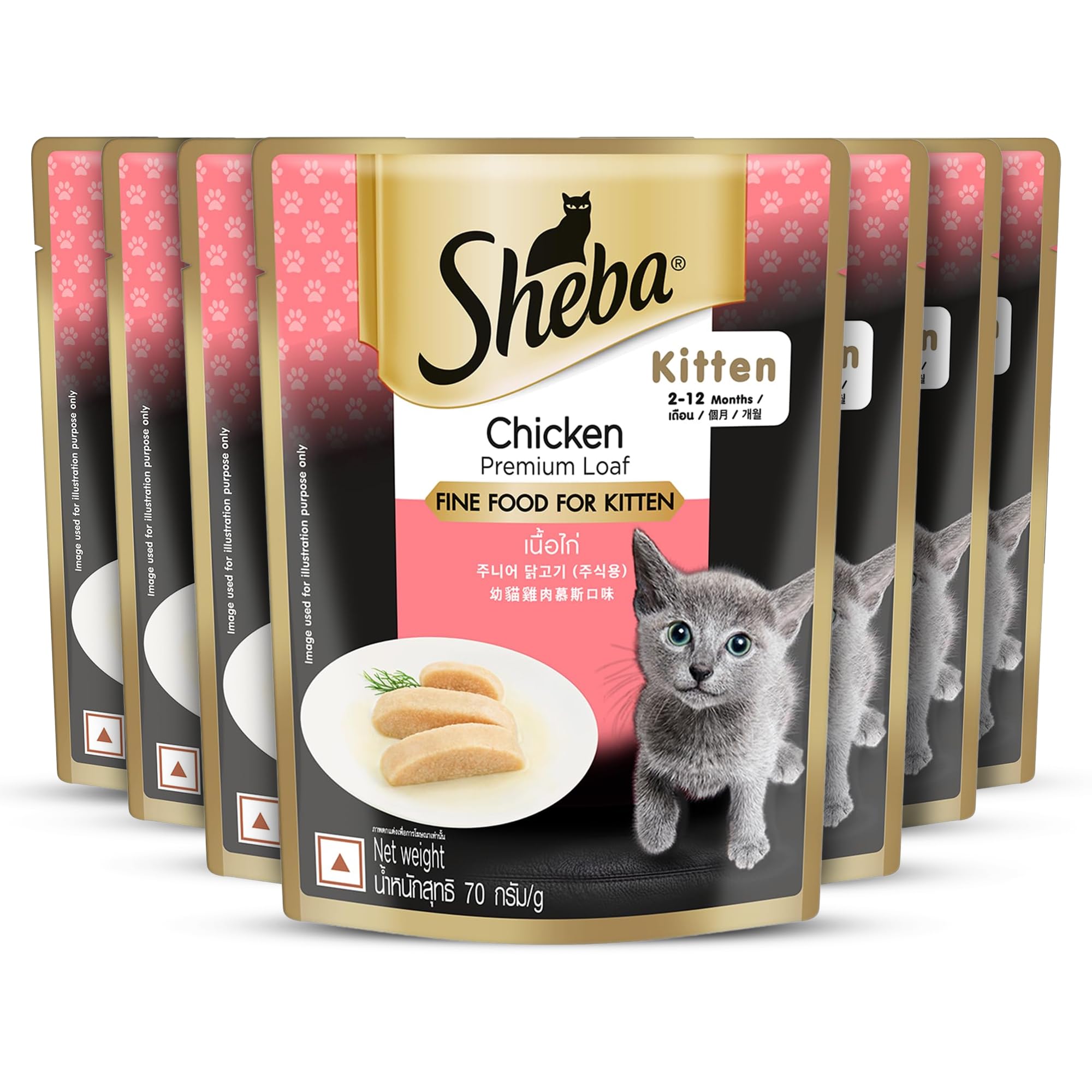 Fine Premium Kitten (2-12 Months) Wet Cat Food, Chicken Premium Loaf, 70 g Pouch, High-Moisture Gravy Kitten cat Food for Healthy Hydration (Pack of 7)