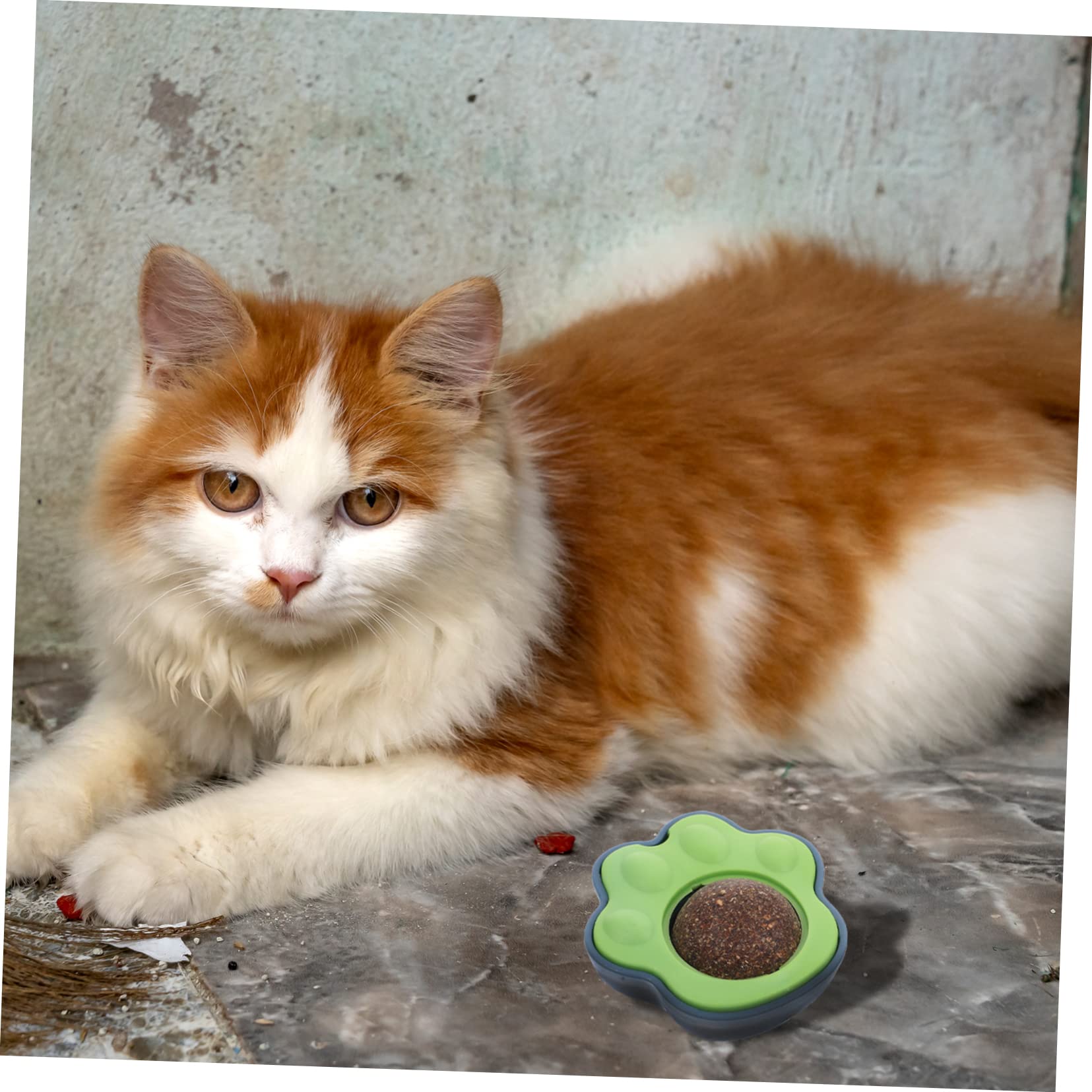 FRCOLOR 6sätze Katzenminze Spielzeug Pack Lickable Catnip Für Indoor Katzen Selbstbeschäftigungsspielzeug Drehbar Mit Starkem Haftvermögen Grünes Blaues Design