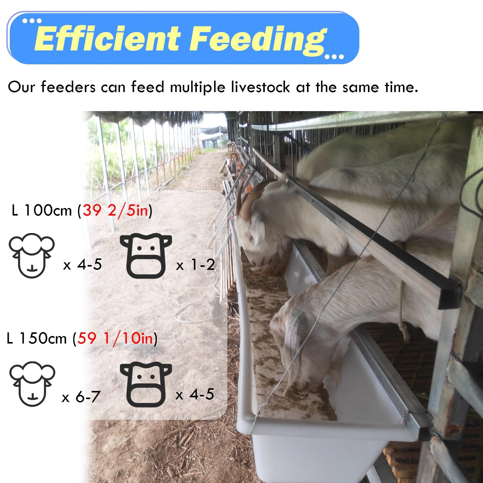 Mangiatoie per Bestiame, mangiatoie e distributori di Fieno Adatti a stalle, pascoli e aziende agricole, distributori di mangime multifunzionali per capre e vitelli.