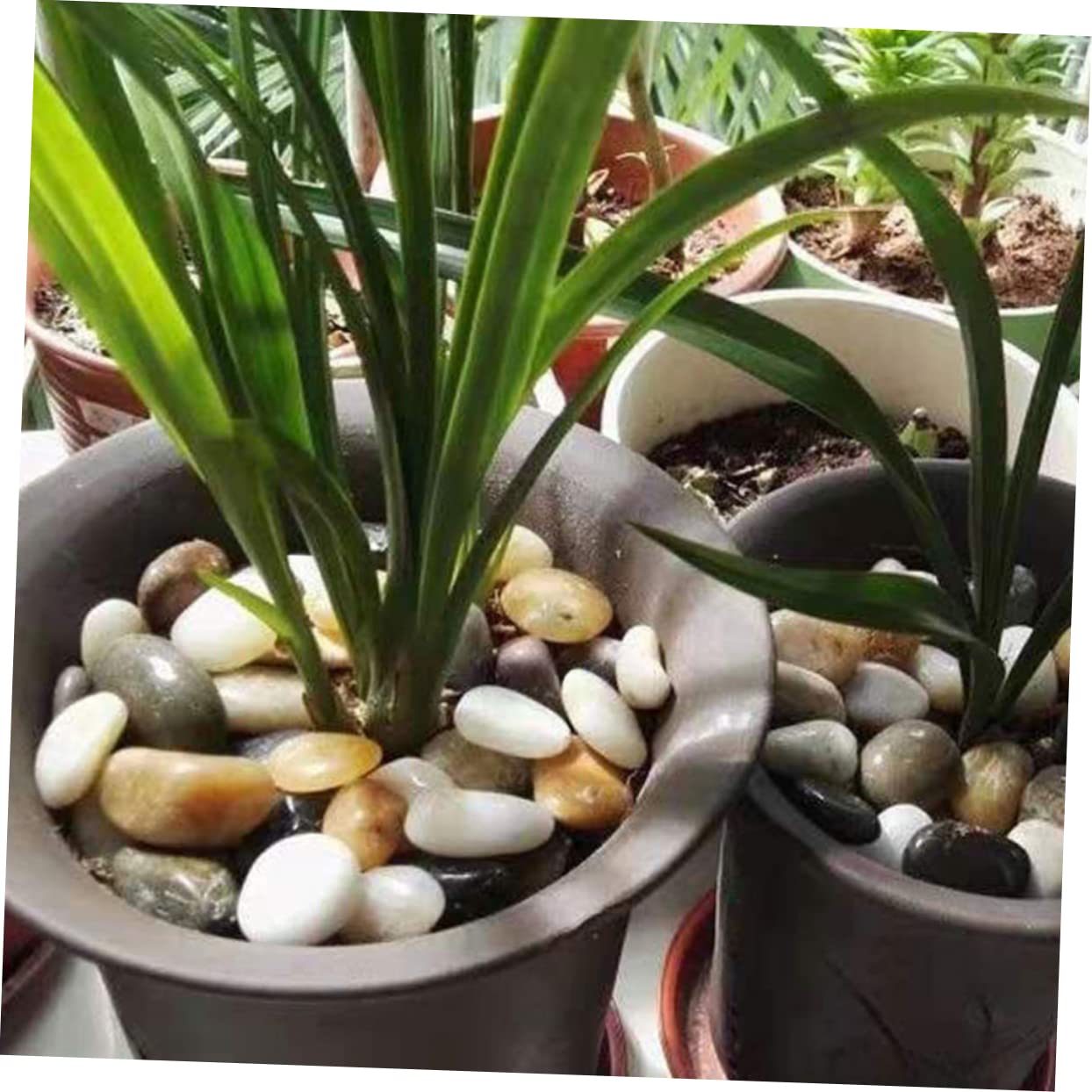 BESPORTBLE 2bolsas Rocas Suaves y Redondas para Piedras Decorativas Guijarros para Jardineras