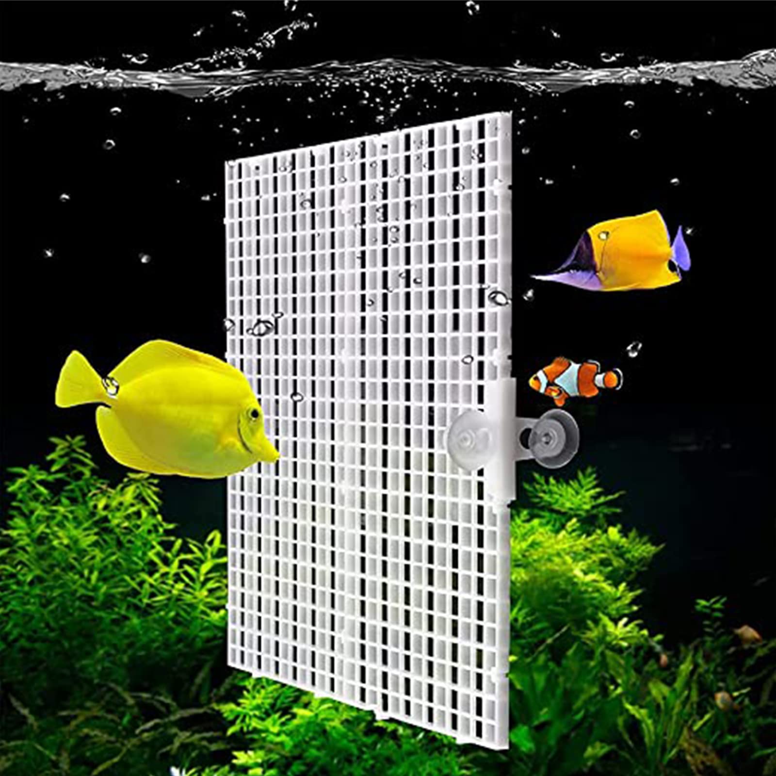 8 Divisori Per Acquario In Plastica Bianca - 30x15 Cm Con 16 Ventose, Per Separare Pesci E Filtrazione - Foto 4