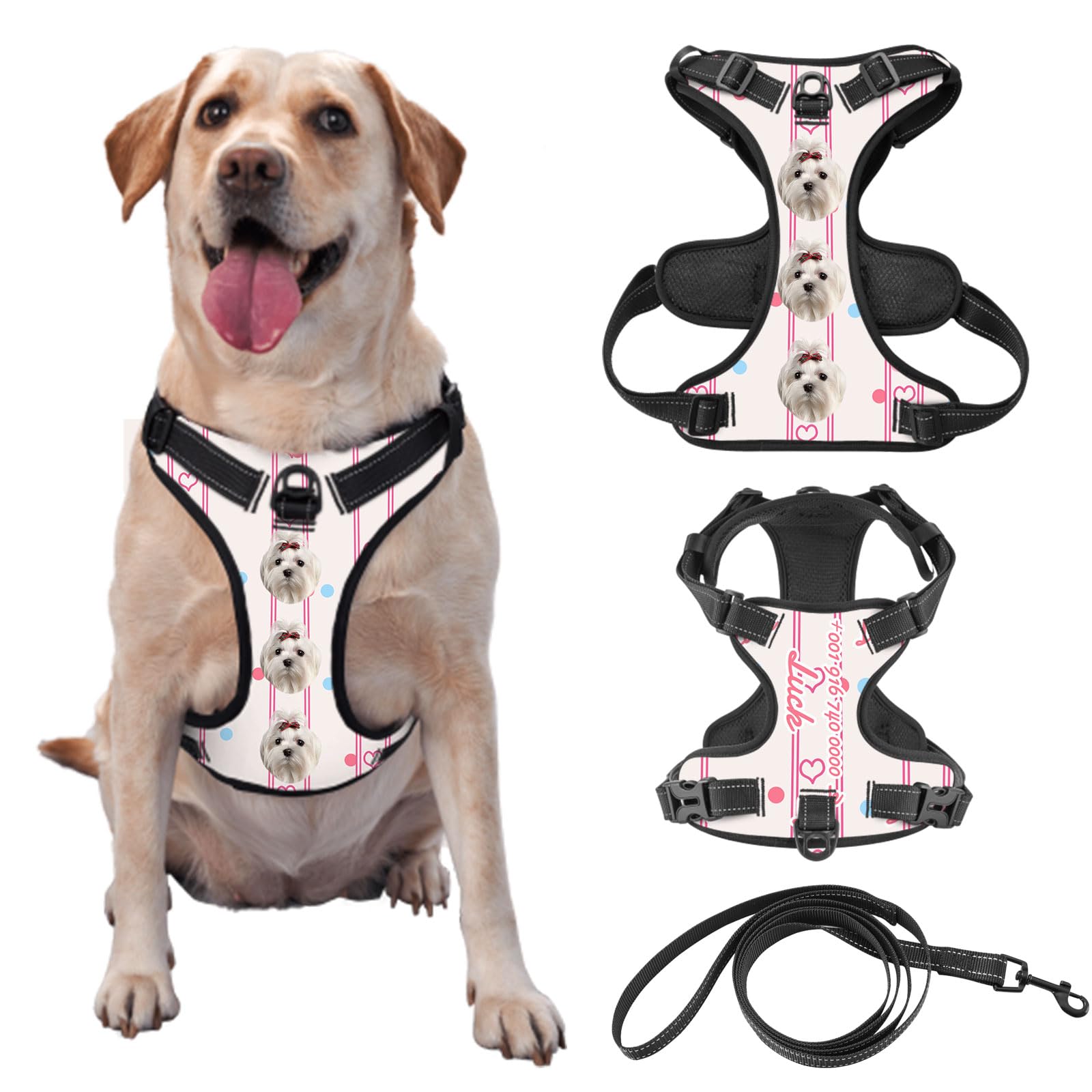 Customized No Tension Dog Harness, Reflective Pet Carrier with Name and Picture for Outdoor Walking of Small, Medium, and Large Dogs and Cats, Attached Leash Optional