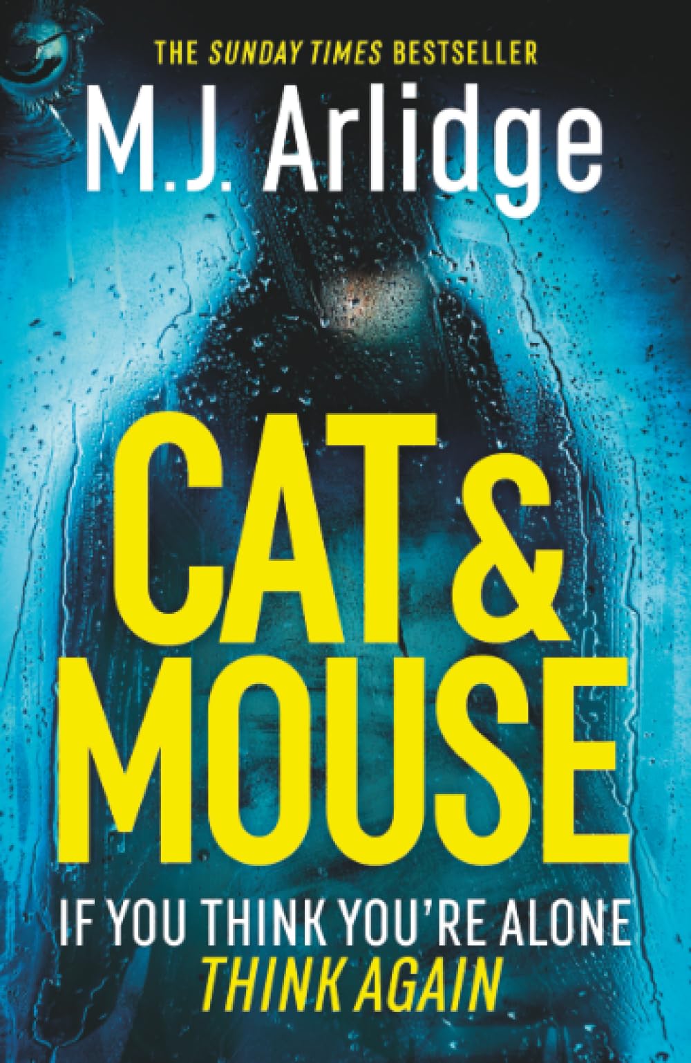 Cat And Mouse: The Addictive and Gripping Crime Thriller of 2026 (Helen Grace)