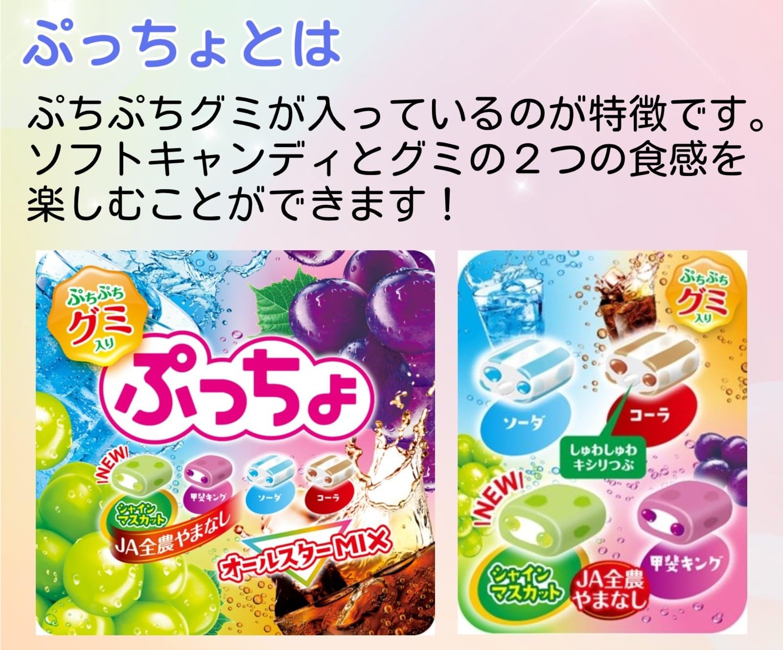 Amazon.co.jp: UHA味覚糖 ぷっちょ 業務用 4種アソート 204袋入 1kg