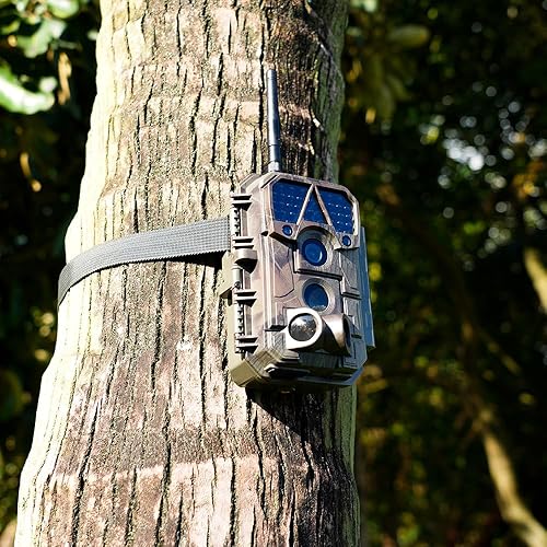 Vista 16 de Cámara Trail P80 Pro, WiFi Bluetooth, sensibilidad a la luz súper baja, ángulo de visión de 120°, cámara de juego de 48MP 1296p, visión nocturna sin