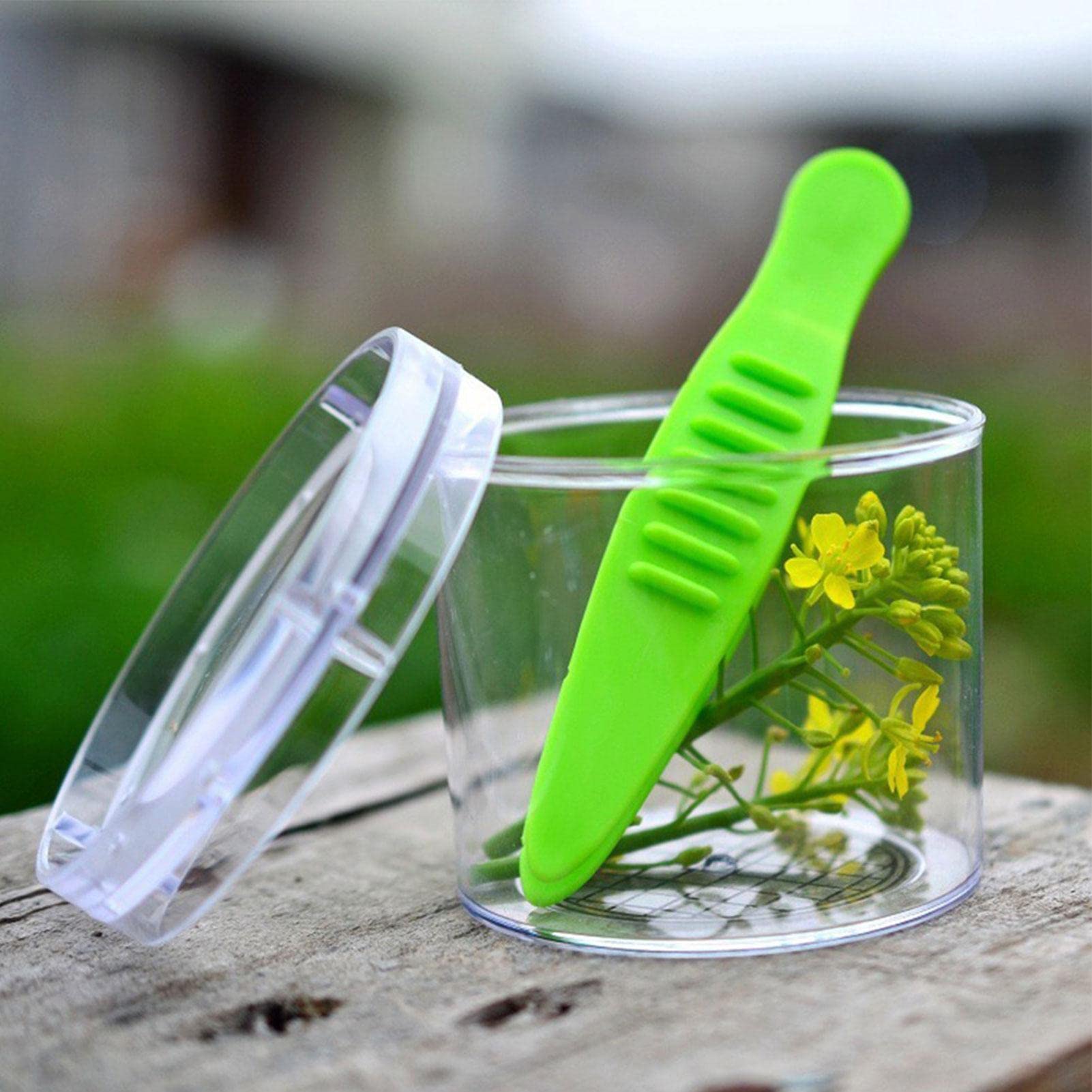 Pince à Insectes Pour Enfants - Attrape-insectes Sans Les Blesser - Outil D'exploration Biologique - 14-17 Cm