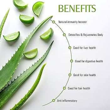 is aloe vera juice good for you