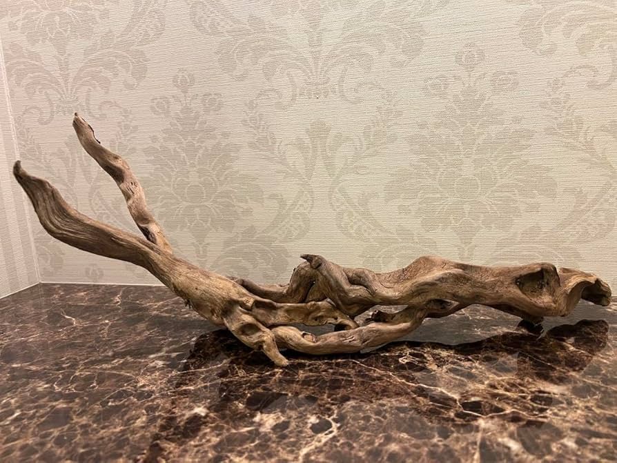 流木　アクアリウム　テラリウム　ADA ADA Review 「アクアテラリウムのレイアウト構成」 | AQUA