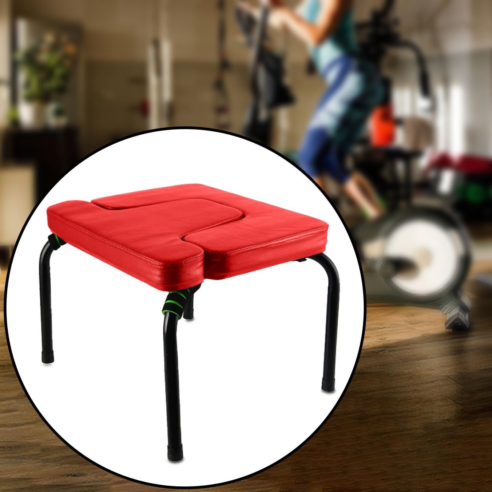 Qianly Banco de para Inversión, Estructura de Acero, Almohadillas PU, Taburete para Entrenamiento