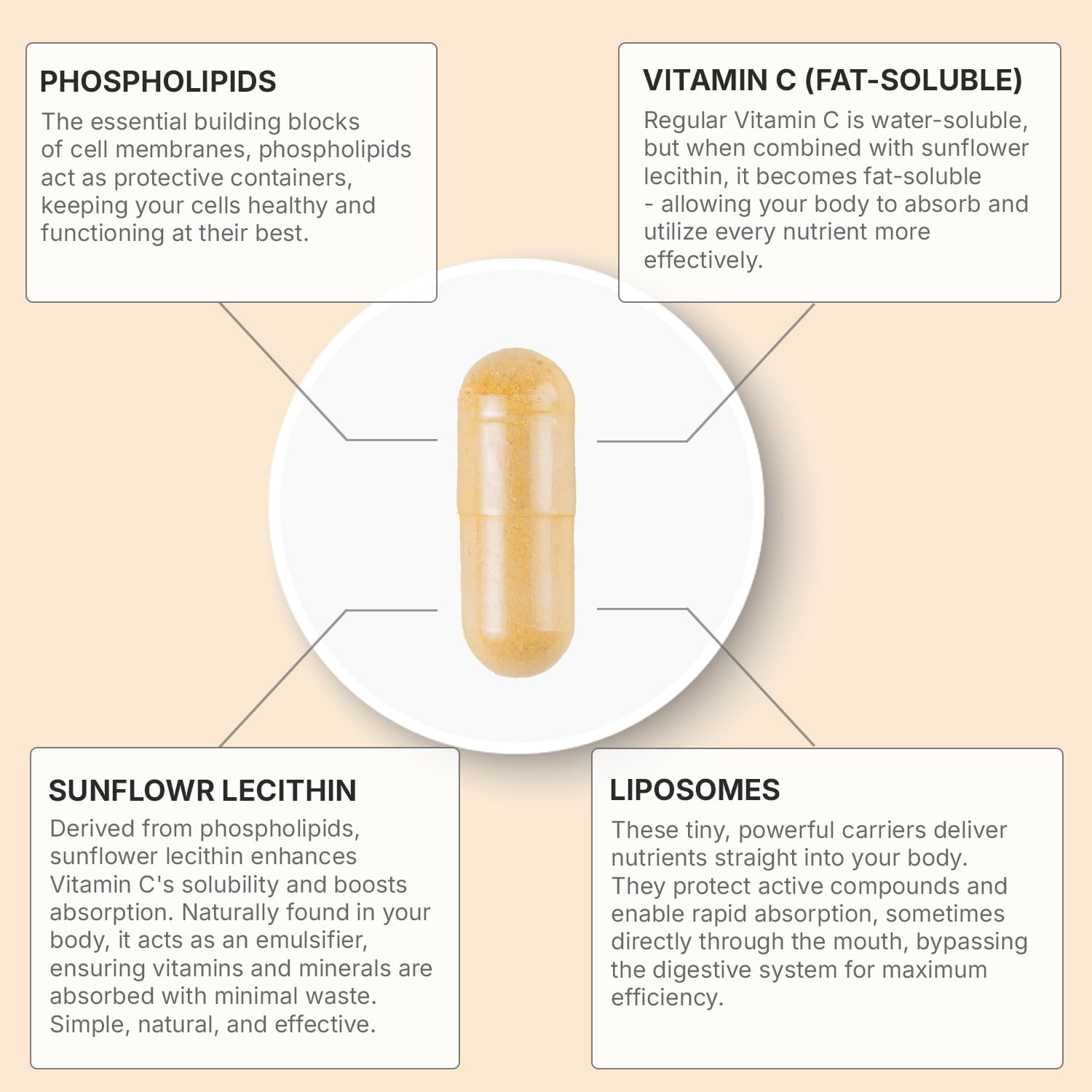 Liposomal Vitamin C 2100mg | 180 Veggie Capsules, 60 Day Supply | Fast Absorbing Bioavailability | Powerful Antioxidant & Immune Support Supplement