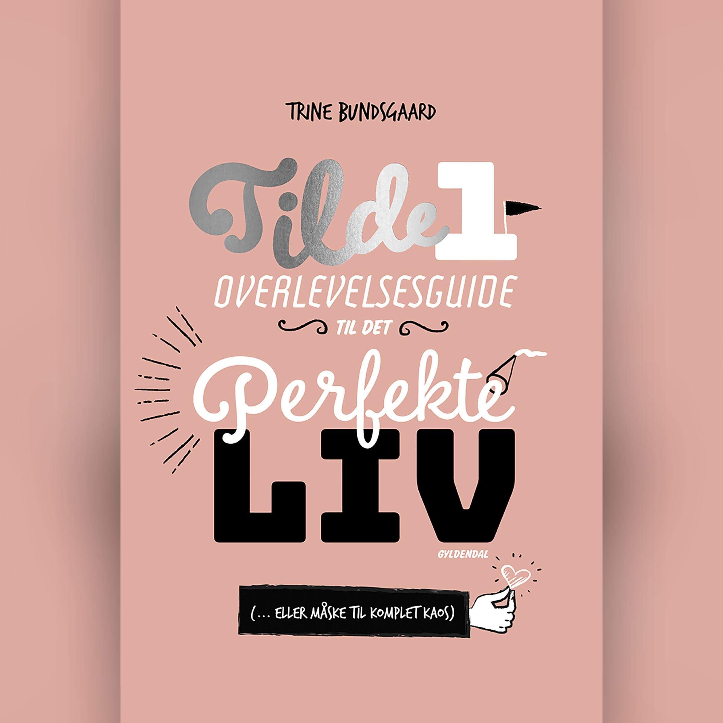 Cover art for Overlevelsesguide til det perfekte liv (...eller måske til komplet kaos)