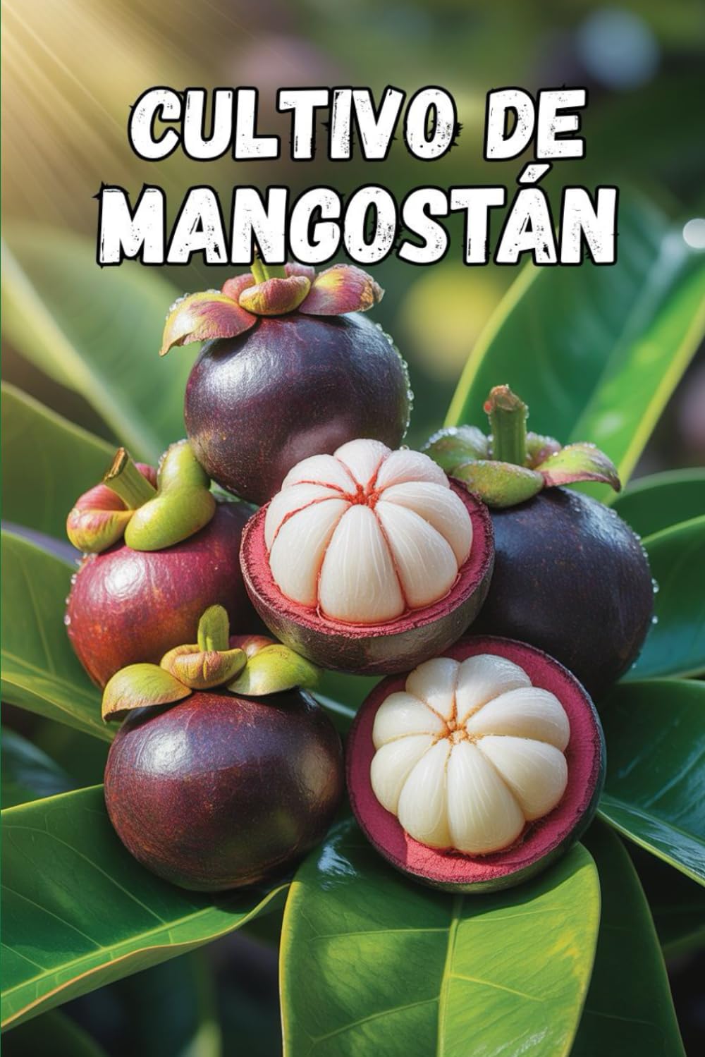 Cultivo de mangostán: Secretos para un cultivo exitoso y una producción máxima de mangostán