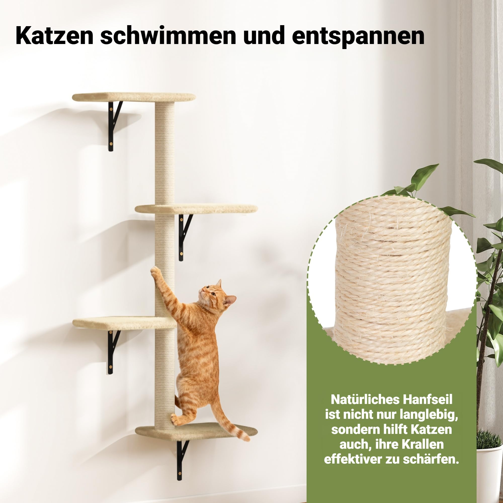 Katzen Kletterwand Set 5-teilig – Wandmontierte Katzenwand mit Katzenhaus, Katzenbrücke & Kratzbrett, Platzsparende Kletterwand Katzen für Wohnung, n, Katzenbrücke (beige)