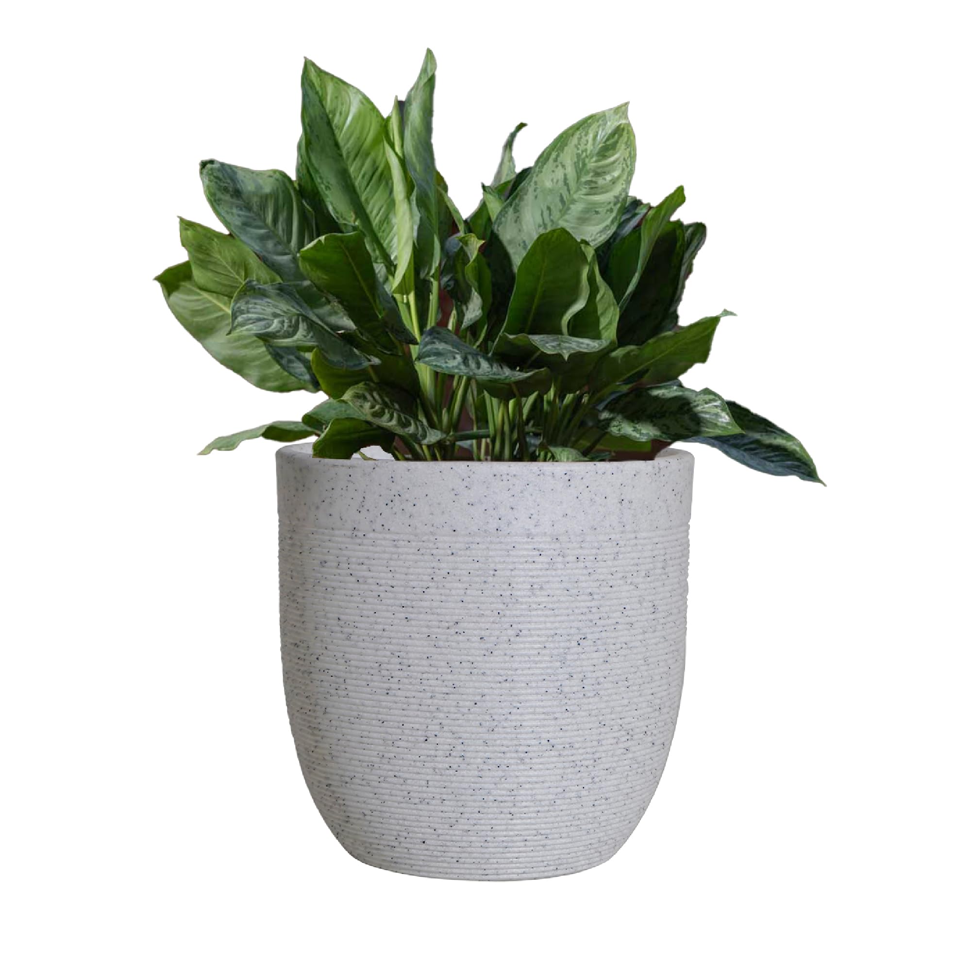 UGAOO Milano Pots for Plants (Whitestone, 12 inches)| Highly Durable Polymers, Lightweight for Indoor & Outdoor | Flower Pot for Living Room, Balcony, Garden, Office (B0D2YDLJZJ) Amazon Price History, Amazon Price Tracker
