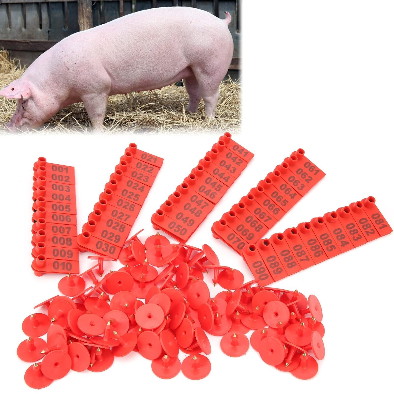 100 STÜCKE Ohrmarken für Nutztiere Kunststoff Ohrring Identifikationskarte für Ziegen Schafe Rinder Kühe Schweine(rot)